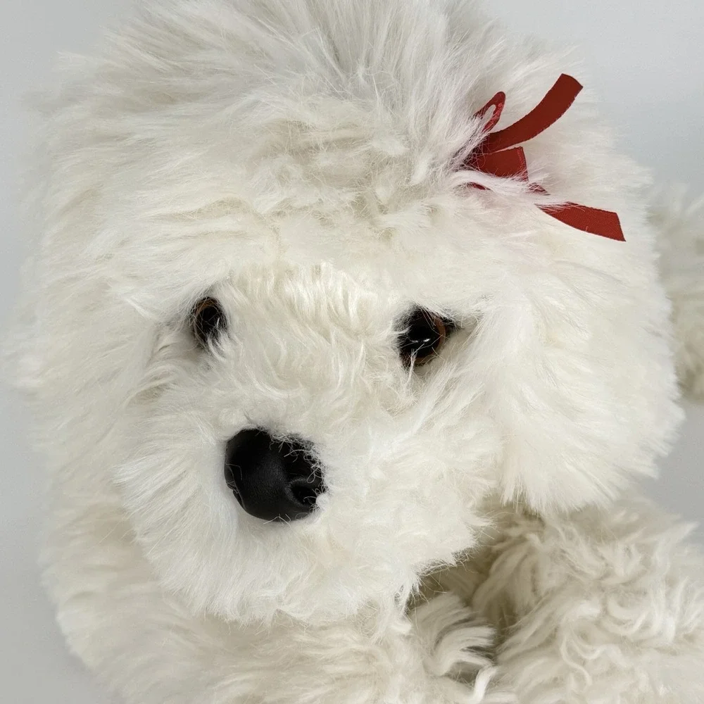 Douglas Marcelle Bichon Frise 22